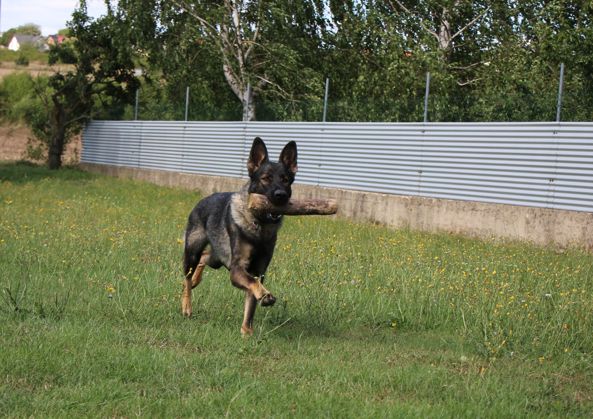 365391372_6807396342645030_1778440301064