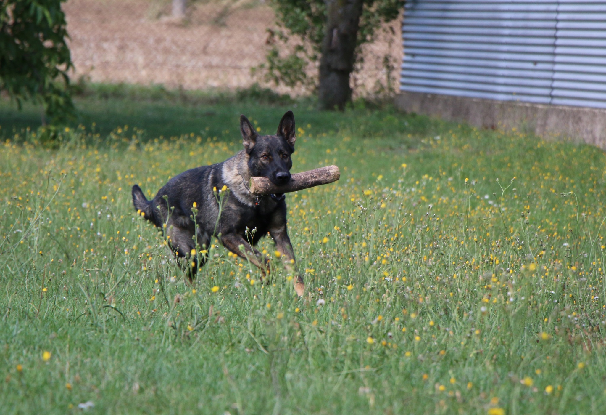 365406056_6807395455978452_3354471605561