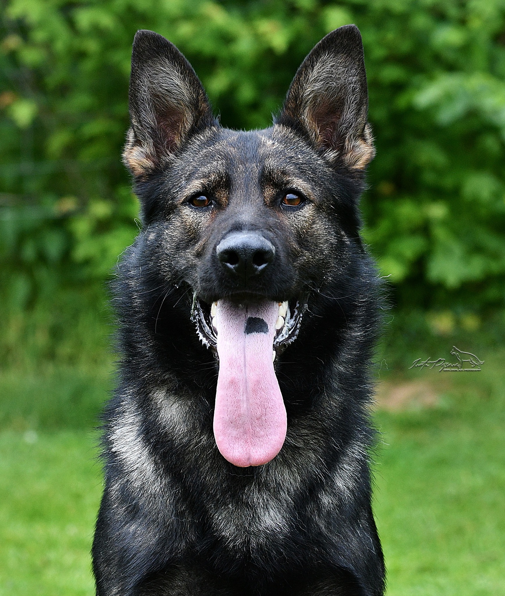 514120099_10076802945729915_602538507029