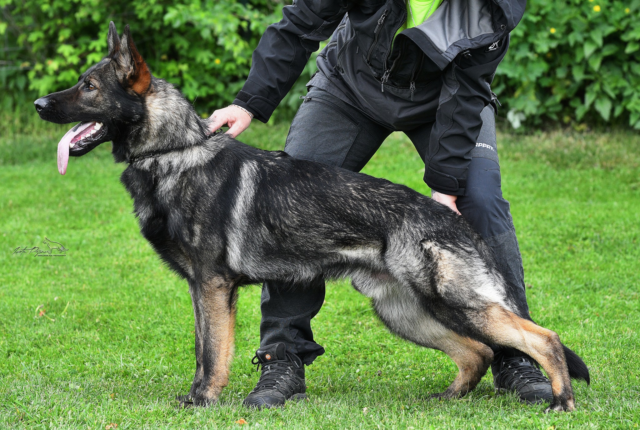 514586787_10076802519063291_801662590400