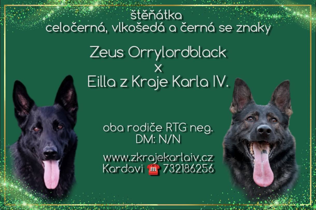 615413579_26054722357485807_339972490105