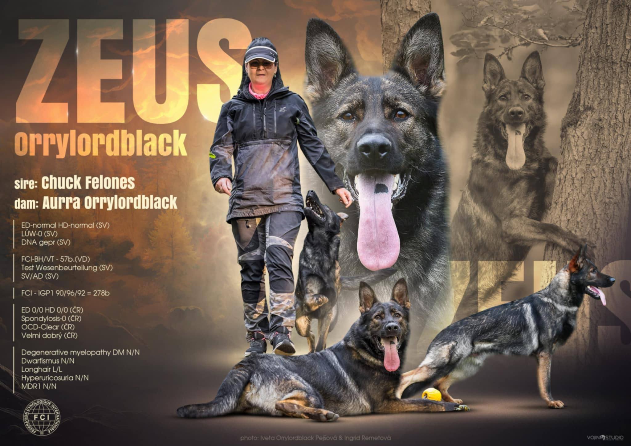 624084620_26168600162764692_151512583618