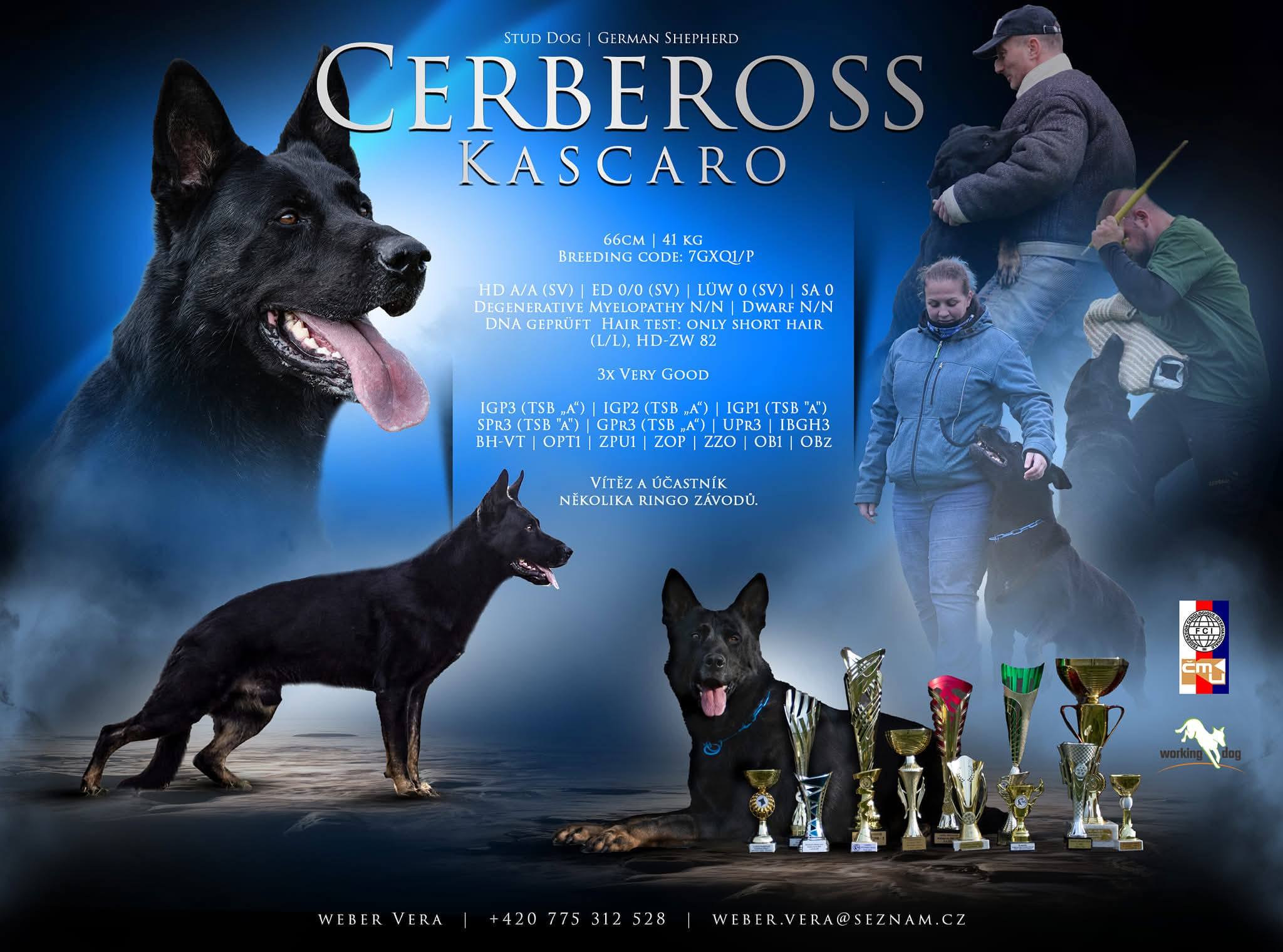 629730777_26315491418075565_230390063680