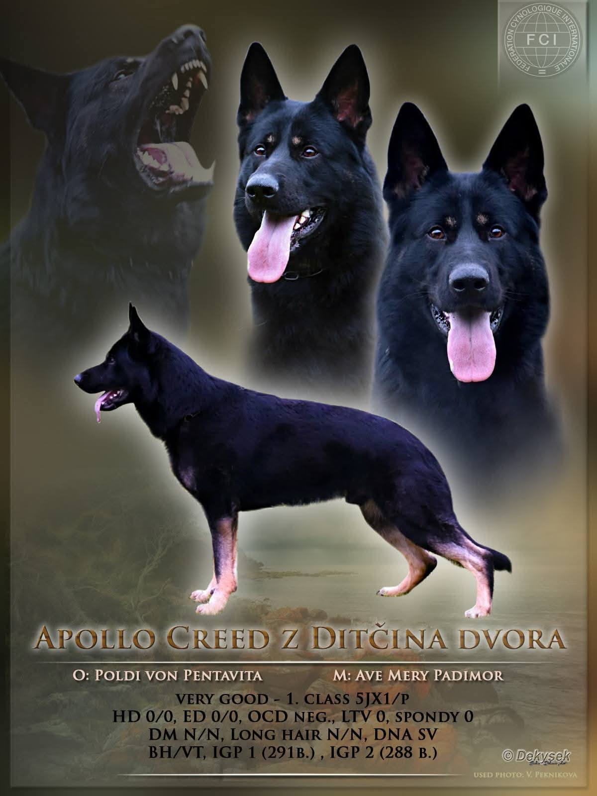 634750296_26315214548103252_915621501298