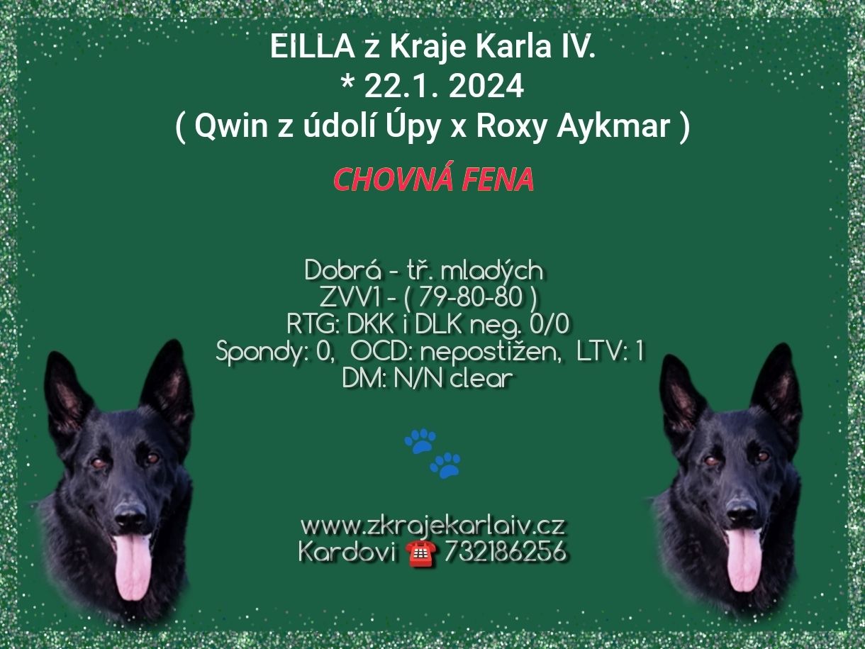 641477208_26374597448831628_323786914407