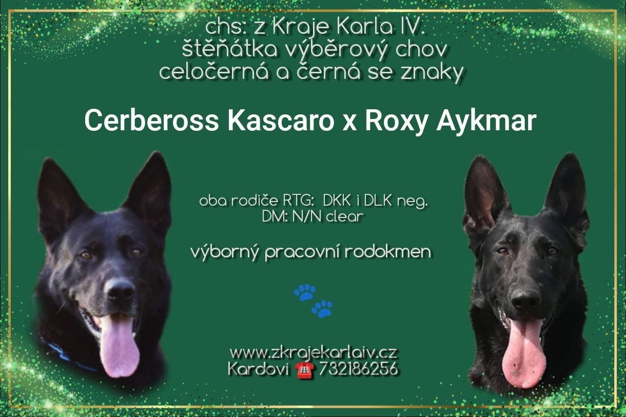 645572592_26466964842928221_294710903183