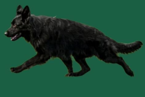 662005194_26736905802600789_420384689972